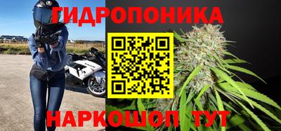 прущие крисы Татарск