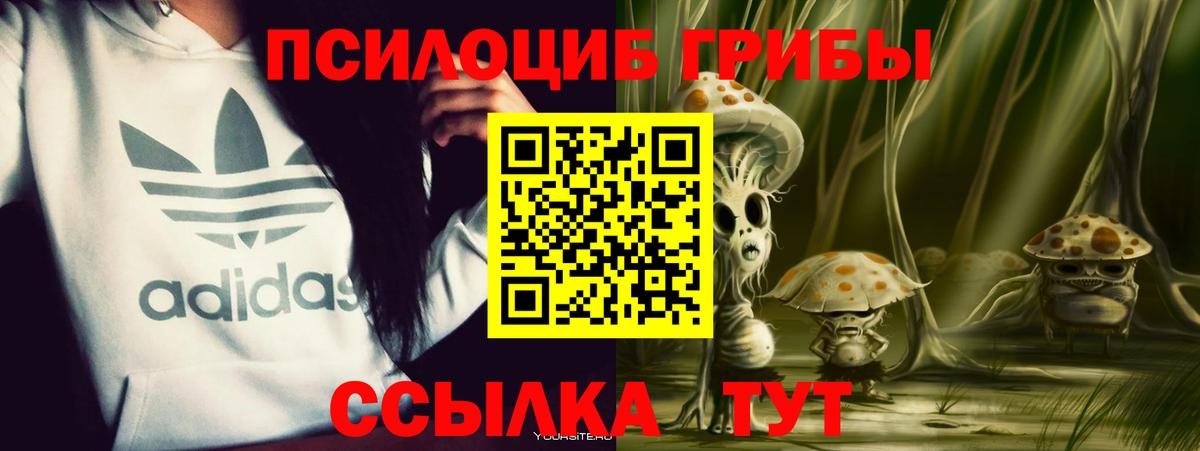 Псилоцибиновые грибы мицелий  Вход с VPN  Михайловск  Псилоцибиновые грибы мухоморы 