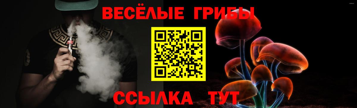 Псилоцибиновые грибы мицелий Михайловск